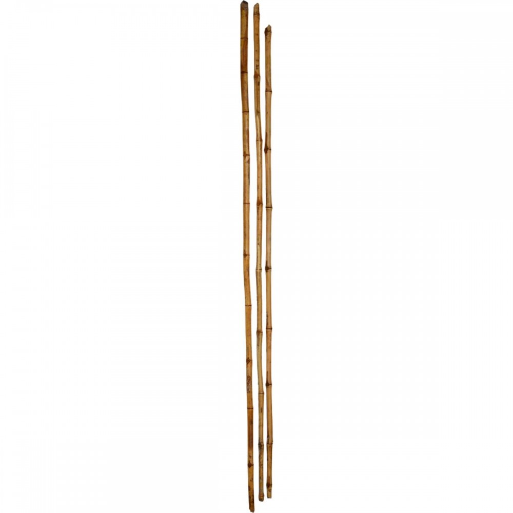 LangeDekorativeBambusRr-32