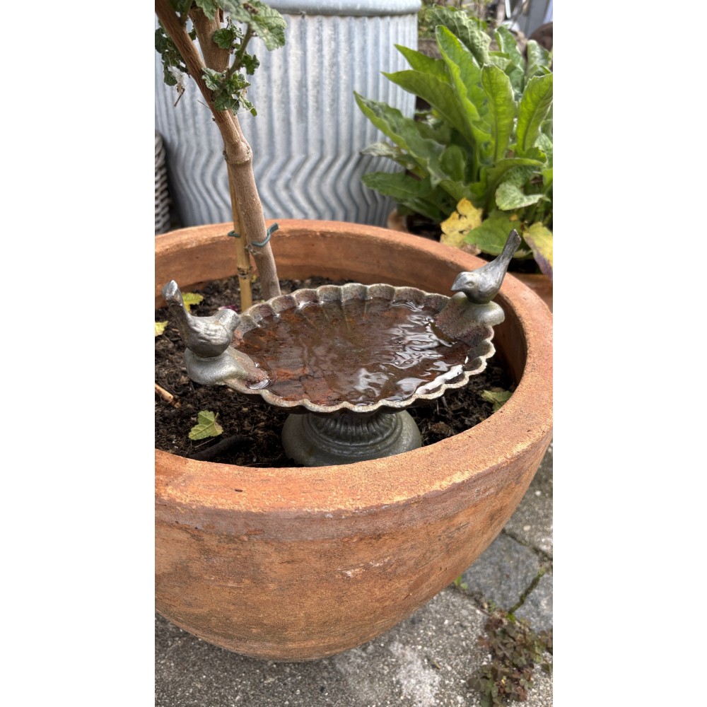 FuglebadiStbejernmedFlotPatina-35