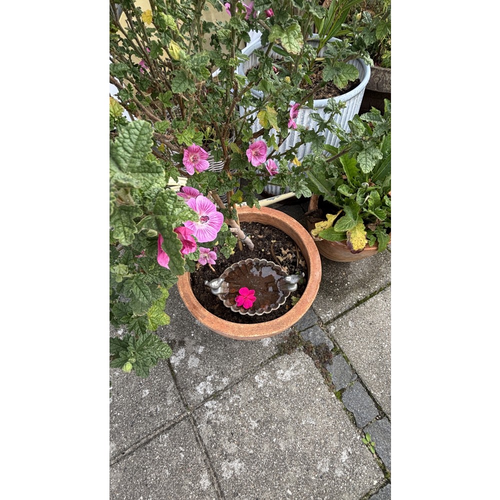 FuglebadiStbejernmedFlotPatina-35