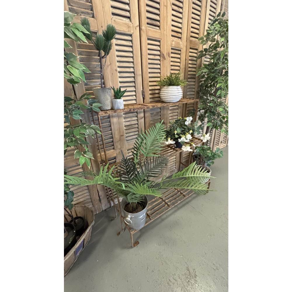 StbejernsPlantereolfraFrankrig-31