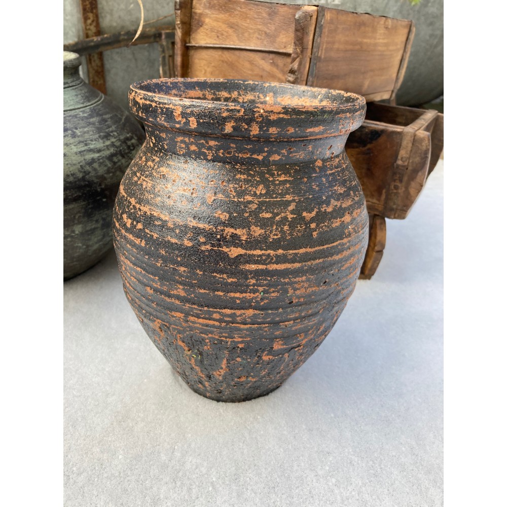 LerkrukkerfraIndien-32