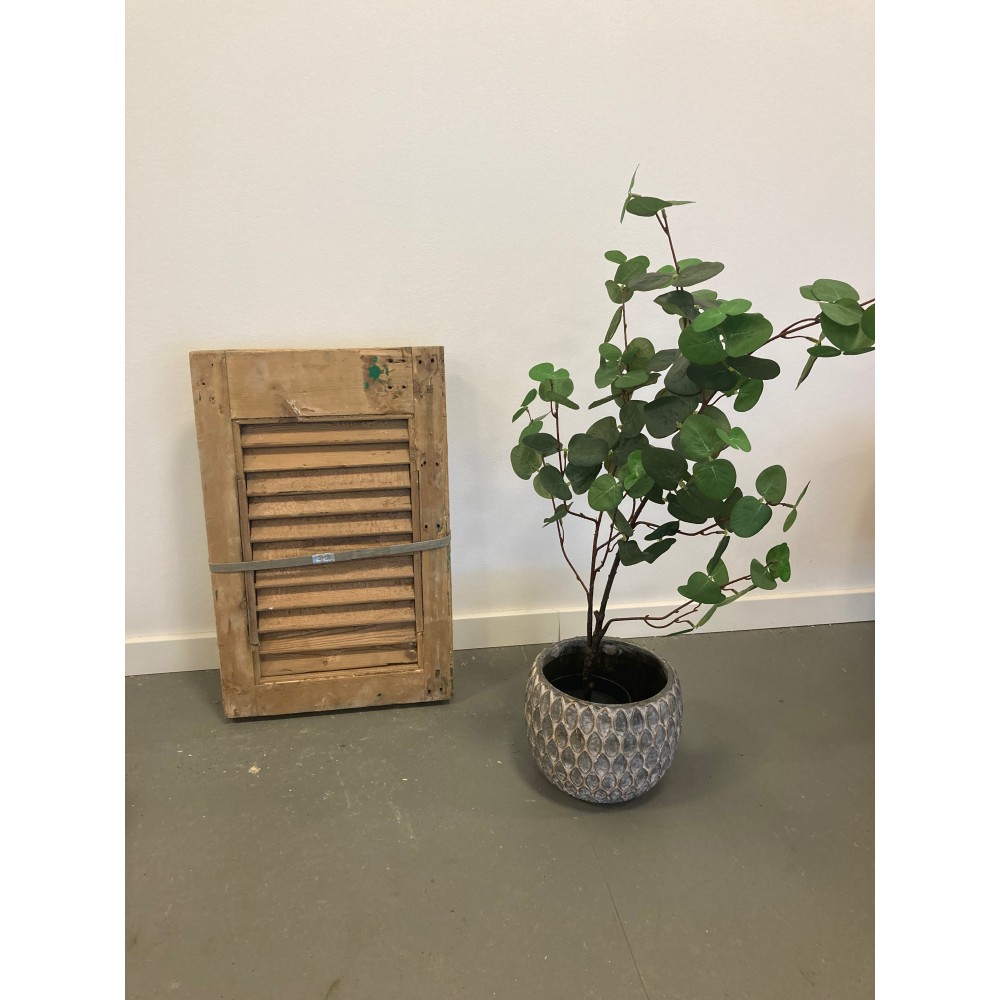 SmFranskeSkoddermedPatinanatur575cm-33