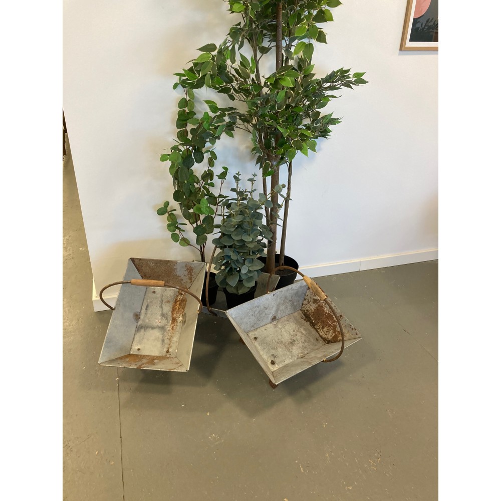 PlanteKurviZinkpStativafJern-32