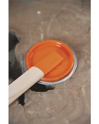 Bright Orange Vintagepaint