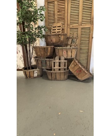 Gamle Frugt Kurve med Etiketter